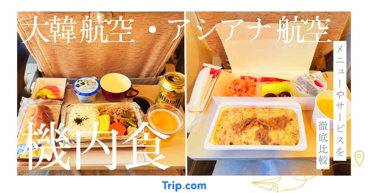 大韓航空とアシアナ航空の機内食はどっちがおすすめのメニューやサービスを徹底比較
