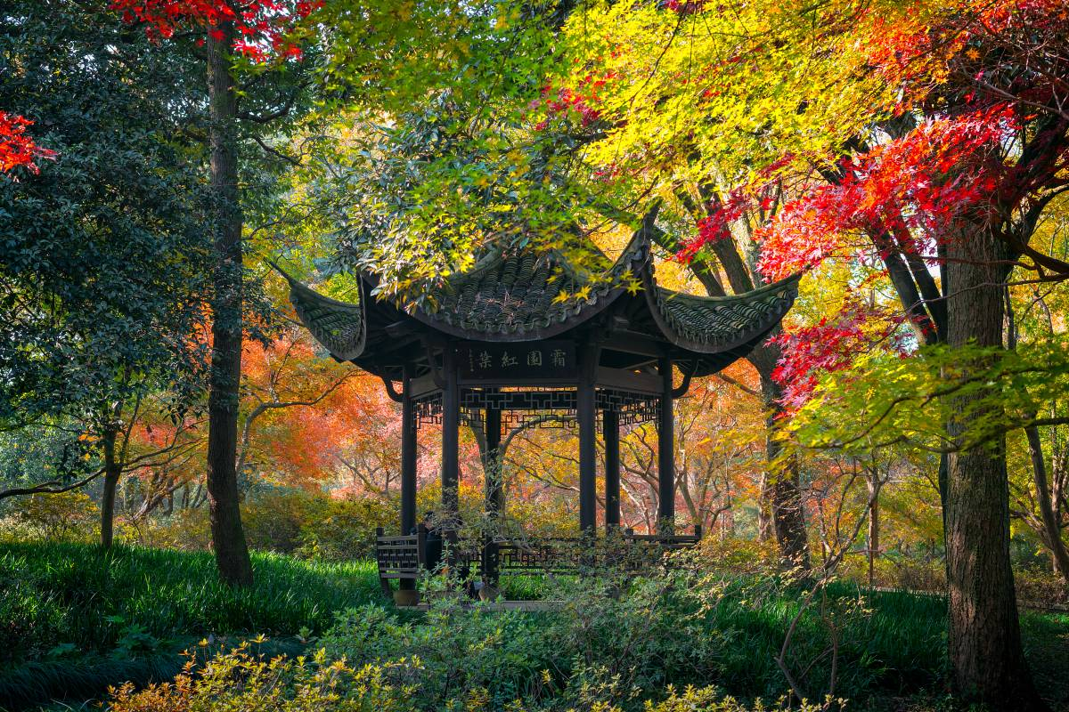 3. Stroll Through the Picturesque Hangzhou Botanical Garden 🌺