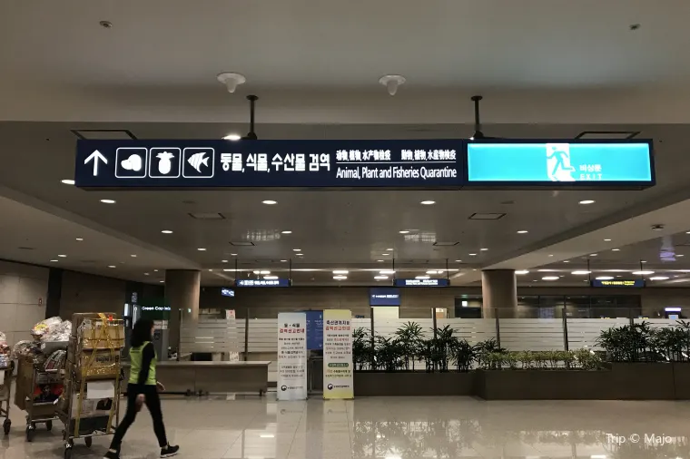 航空会社・路線の違い