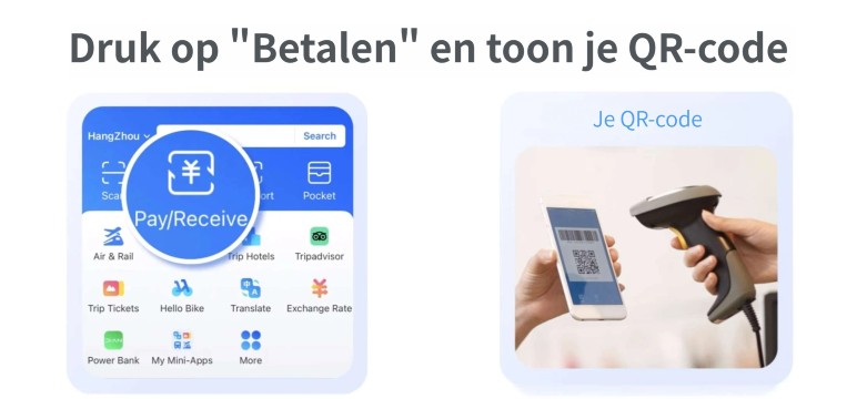 Pay/Receive (Betaal of ontvang geld)