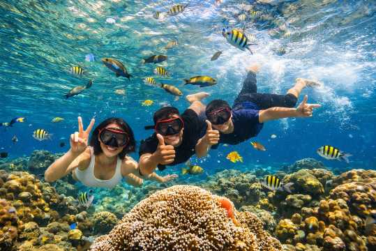 Rencanakan Perjalanan Snorkeling Anda Sekarang