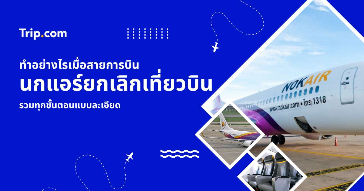 นกแอร์ยกเลิกเที่ยวบิน