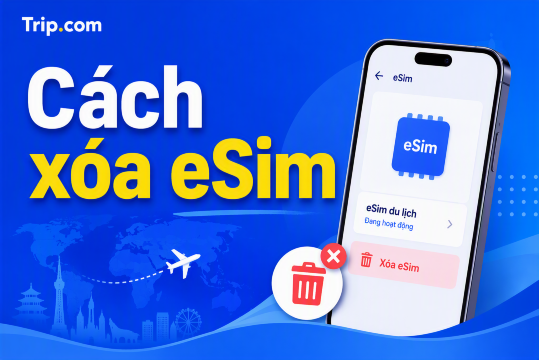 Cách xóa eSIM 2026: Hướng dẫn chi tiết trên iPhone và Android