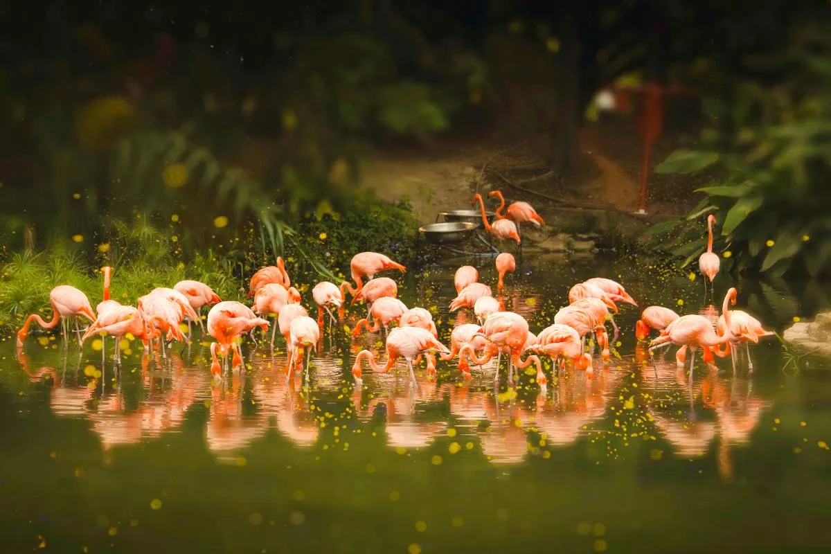 tempat wisata di guangzhou