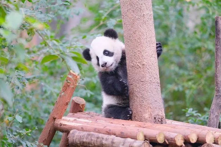 Bí Quyết Lên Kế Hoạch Du Lịch Trung Quốc