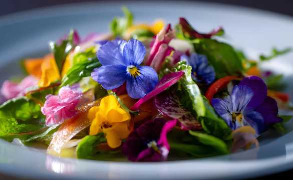 Flower salad