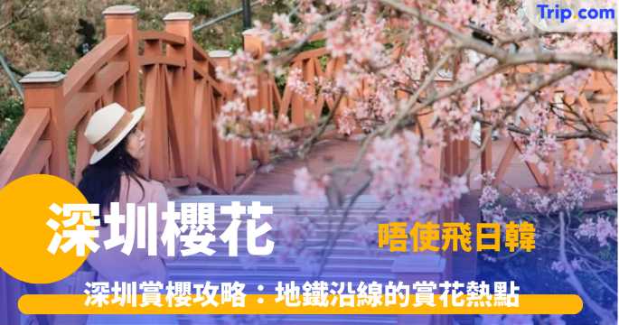 深圳櫻花 7 選，最佳深圳賞櫻地點大公開！ | Trip.com