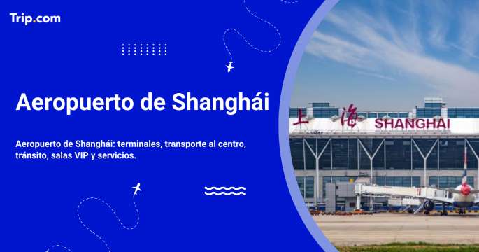 Aeropuerto de Shanghái: guía de transporte, servicios y consejos