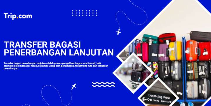 Panduan Transfer Bagasi Penerbangan Lanjutan | Trip.com