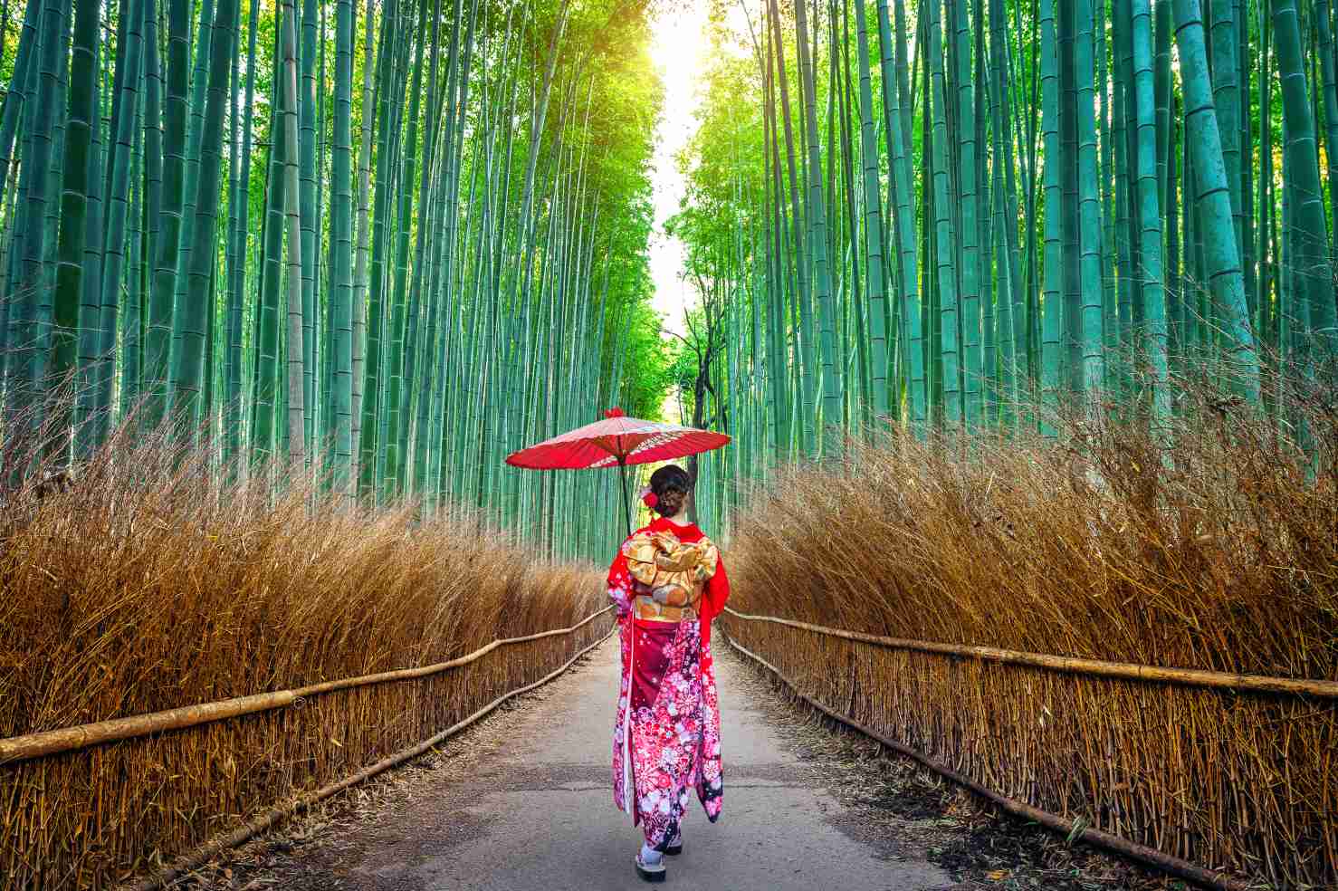 ป่าไผ่อาราชิยาม่า (Arashiyama Bamboo Grove) เกียวโต - ที่เที่ยวญี่ปุ่น