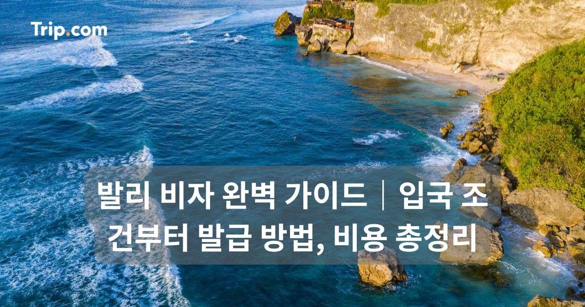 발리 비자 가이드: 입국 조건부터 발급 방법, 비용 총정리 | 트립닷컴