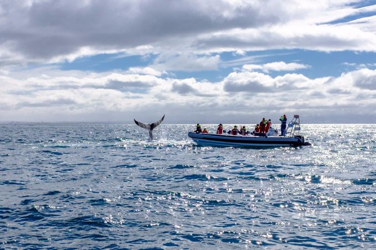 Best Solo Travel Destinations #3:  Iceland's Reykjavik 