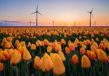 Your complete guide to traveling to Amsterdam with Eurostar