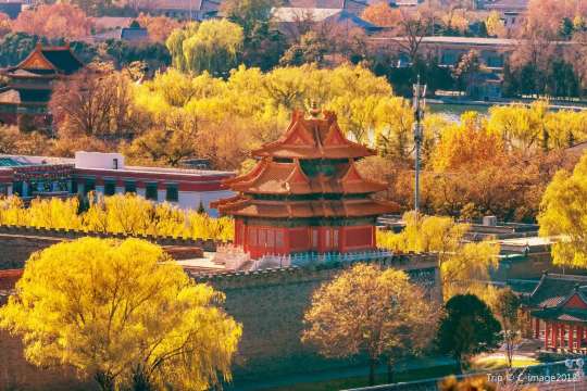 Forbidden City: Discount Tickets & Guide