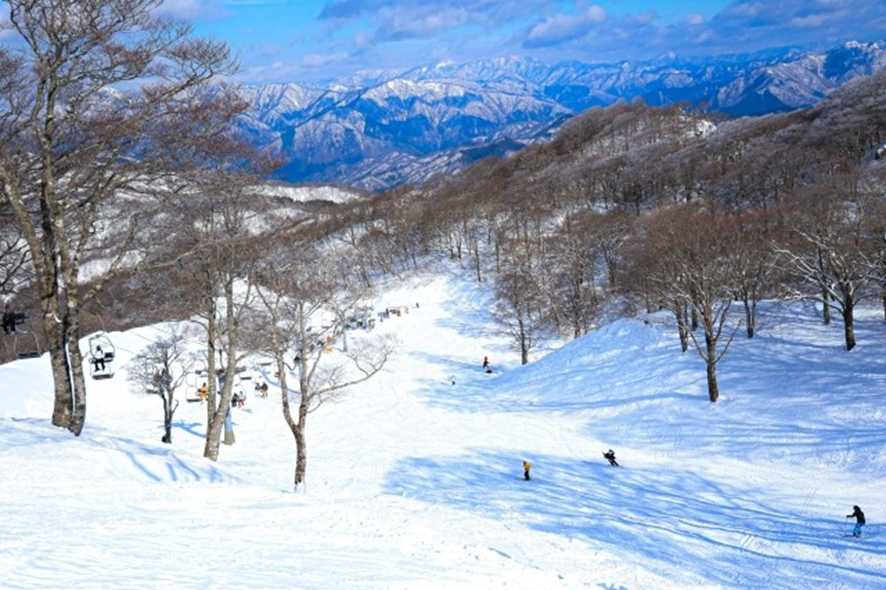 滋賀県|グランスノー奥伊吹