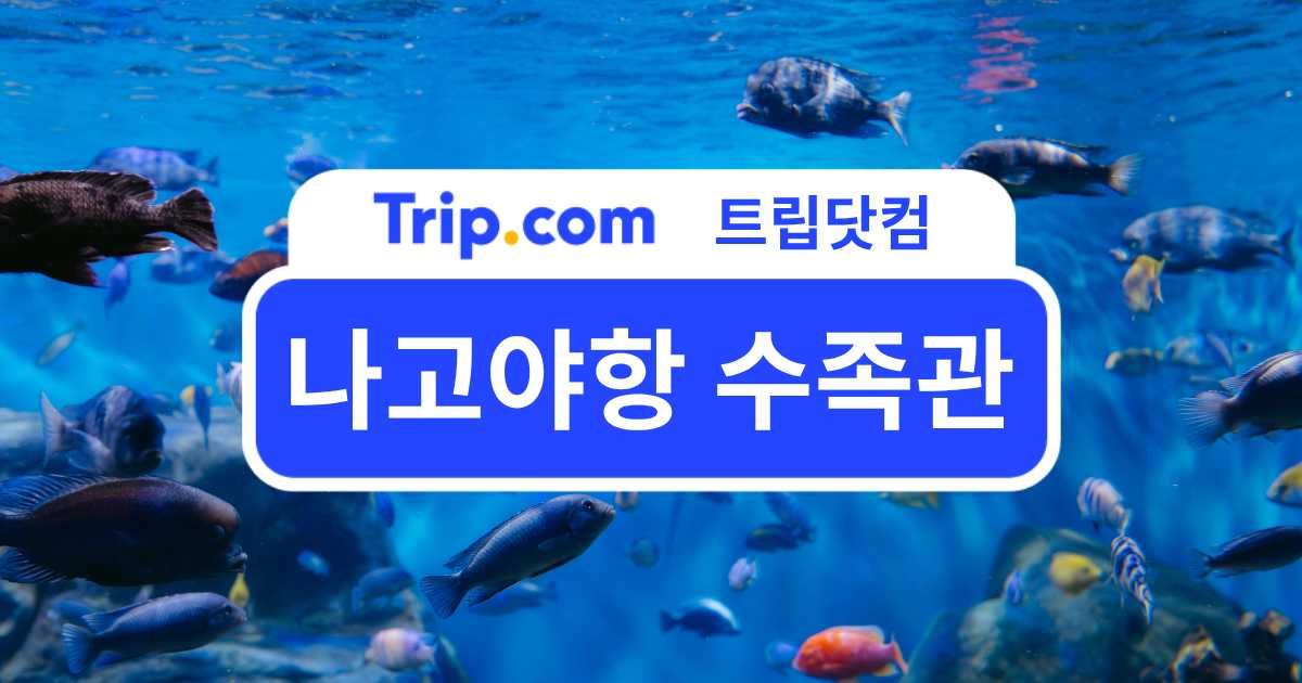 나고야항 수족관