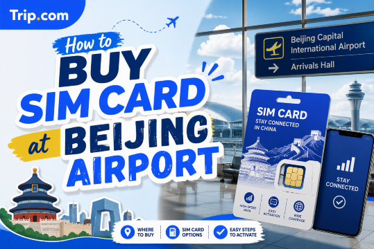 Beijing Airport SIM Card Guide: Stay Connected After Landing