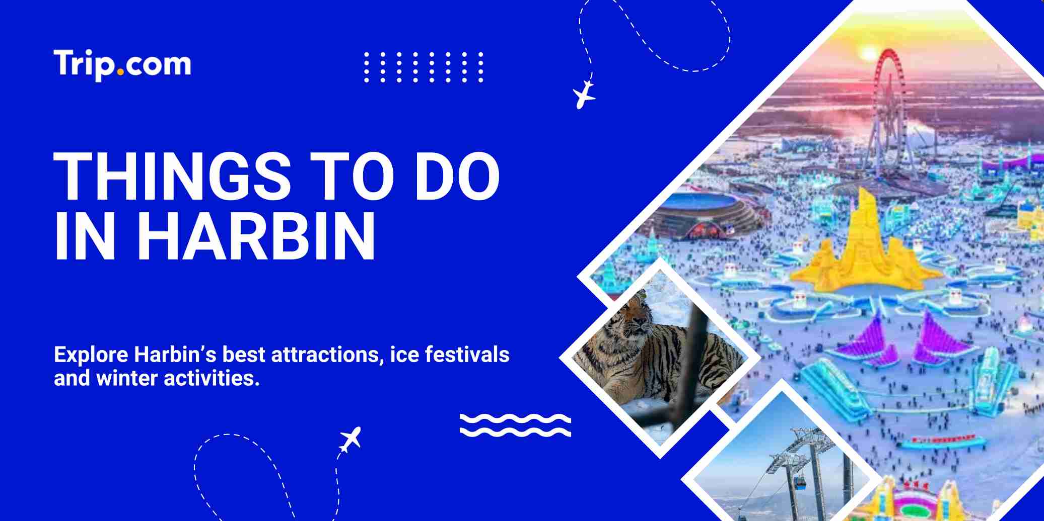 Top Things to do in Harbin | Trip.com