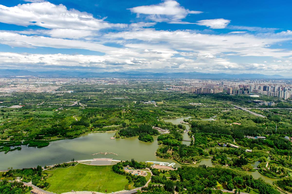 Олимпийский лесной парк