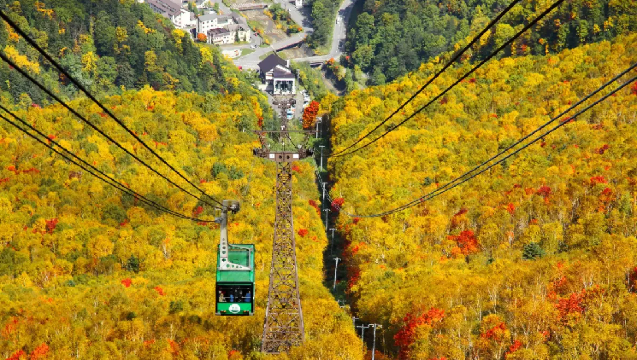 Japan Fall Foliage Spot: Daisetsuzan