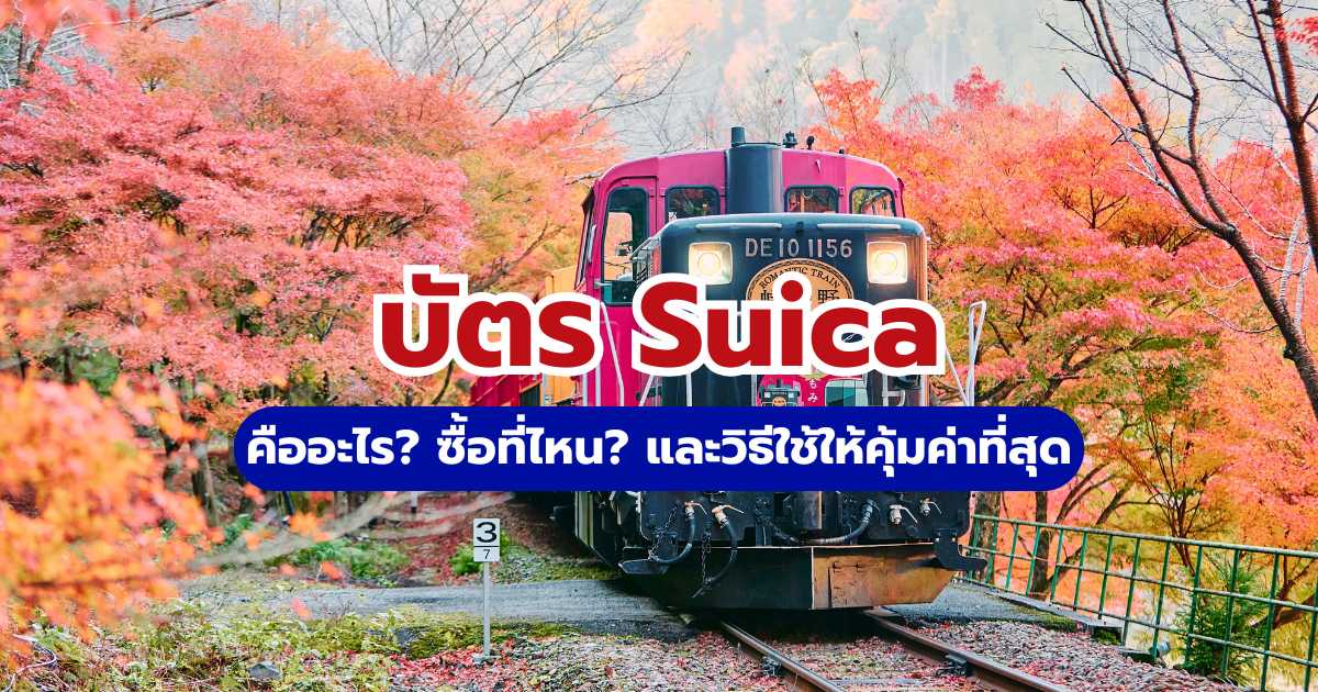 บัตร Suica คืออะไร? ซื้อที่ไหน และวิธีใช้ให้คุ้มค่าที่สุด