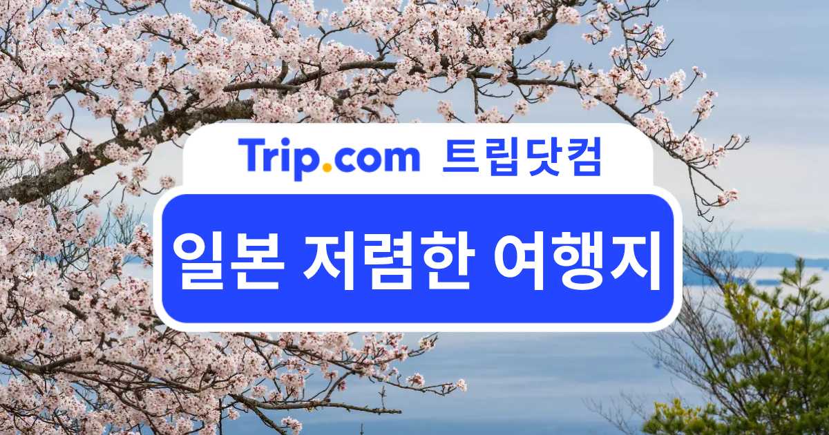 일본 저렴한 여행지! 가성비로 떠나는 일본 소도시 여행 | 트립닷컴