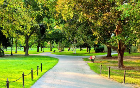 Boston Travel Guide: Photos of Boston Common