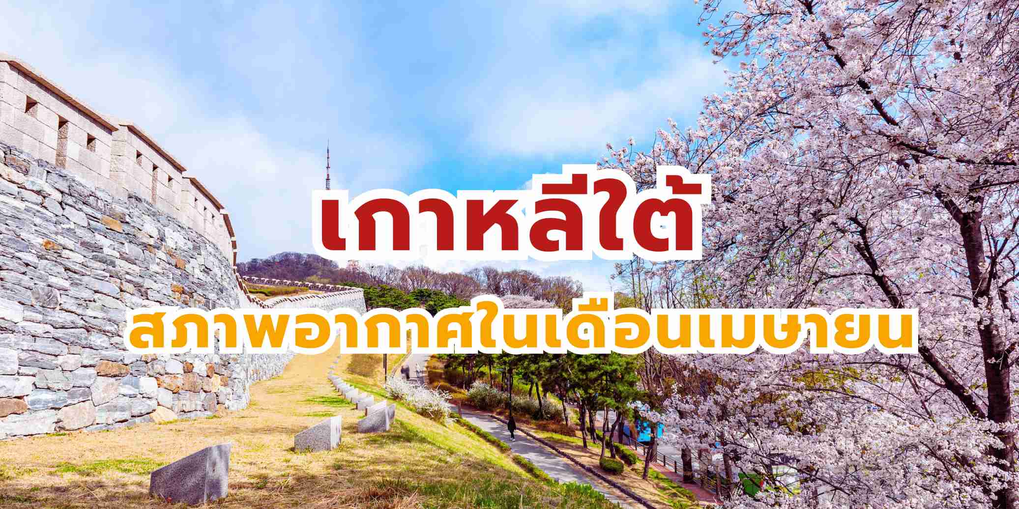 อากาศเกาหลีเดือนเมษายน: อุณหภูมิเท่าไหร่ & แต่งตัวยังไง?