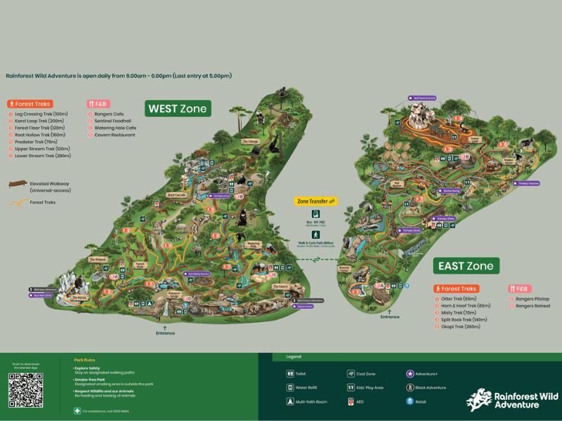 Rainforest Wild Adventure