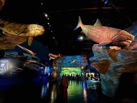 Какие есть зоны в Singapore Oceanarium