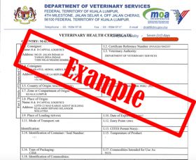 Pet Export Permit