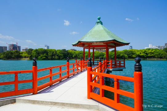 서울에서 후쿠오카 여행하기 좋은 시기