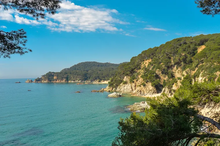 nai harn
