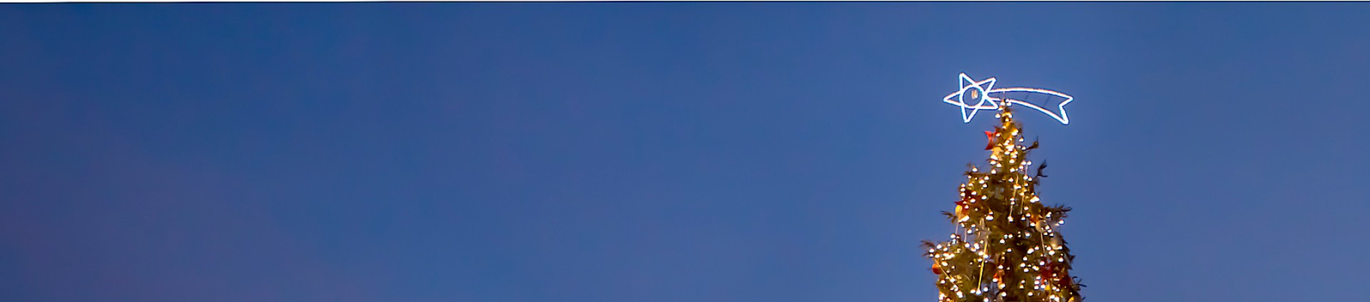 Offerte treni di Natale e Capodanno 2025