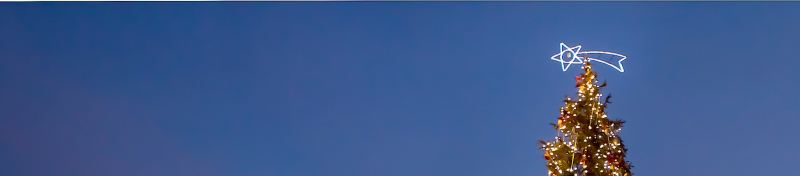 Offerte Treni Natale e Capodanno 2025 – Viaggi, Idee e Mete