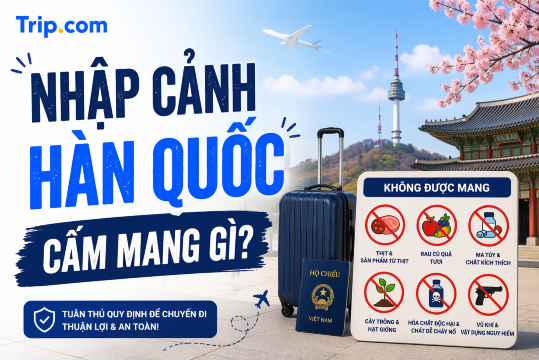 Nhập cảnh Hàn Quốc cấm mang gì? Quy định hải quan mới nhất 2026 | Trip.com