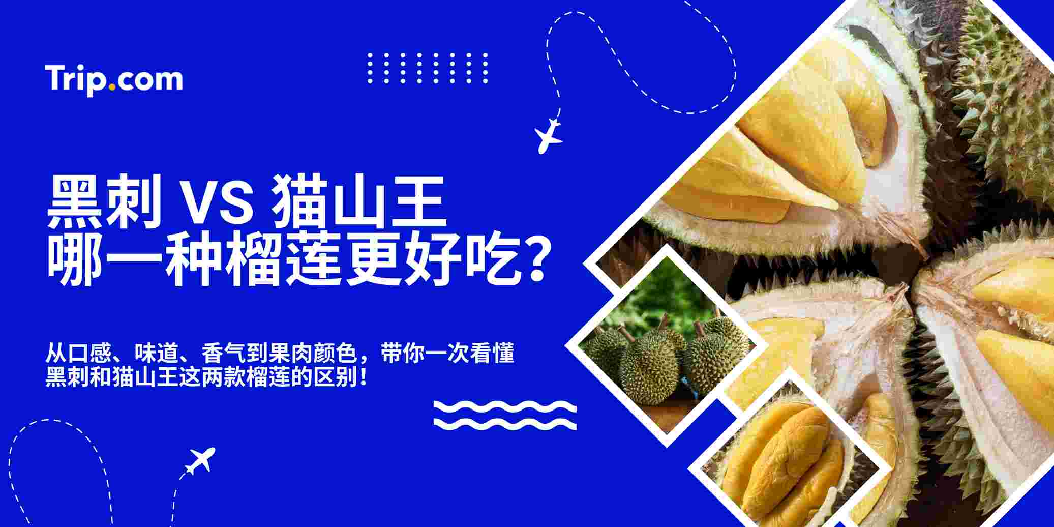 黑刺 vs 猫山王：哪一种榴莲更好吃？ 