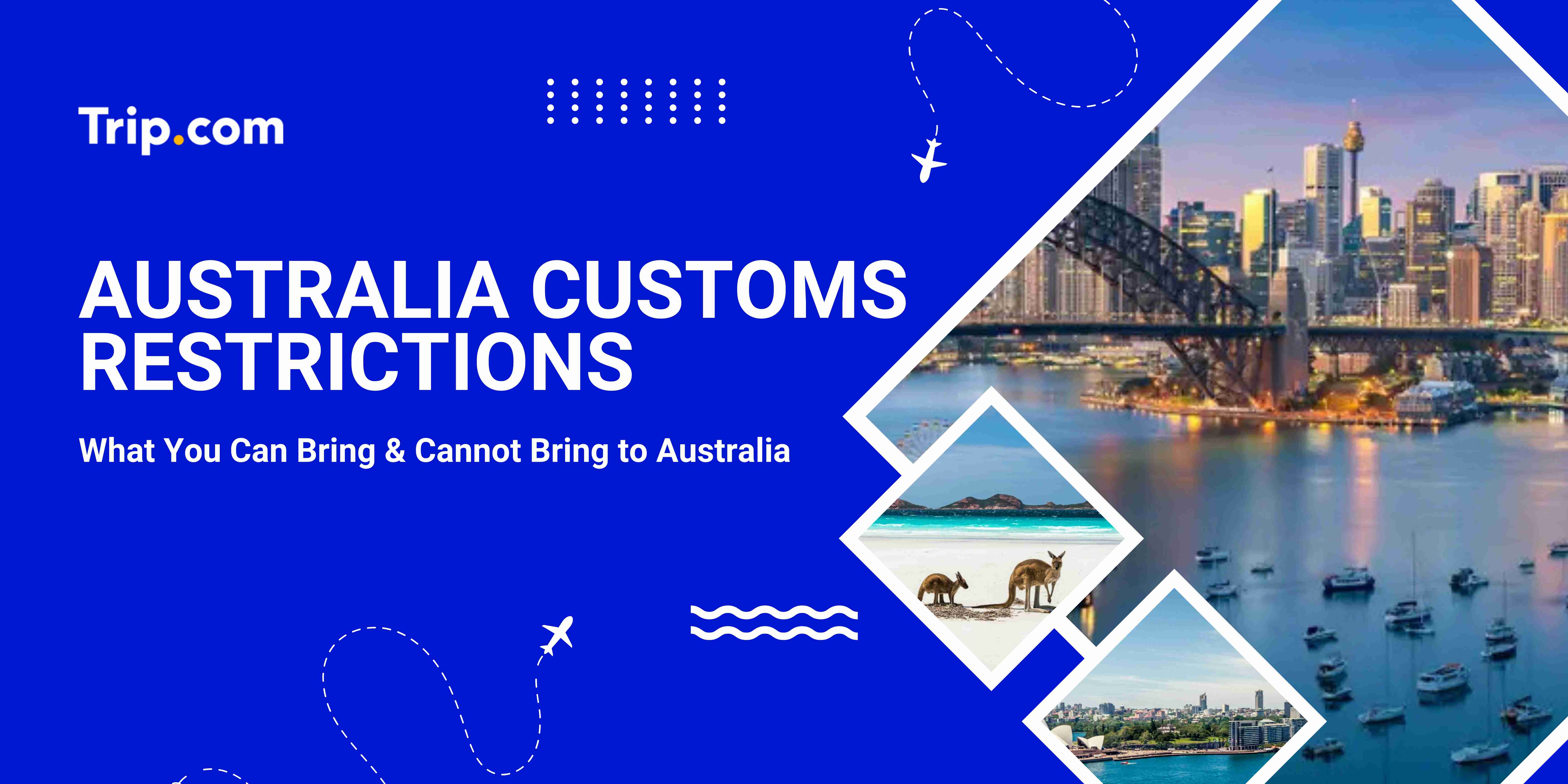 Autralia Customs Restrictions