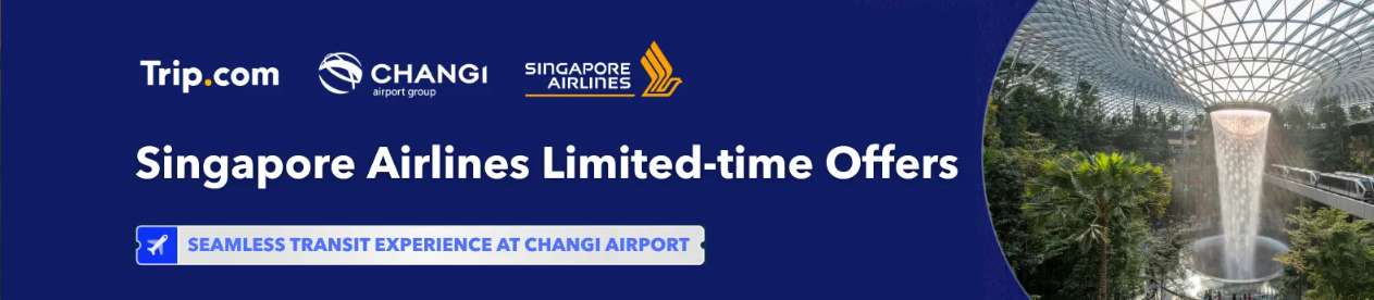 Singapore Airlines' Special Offers