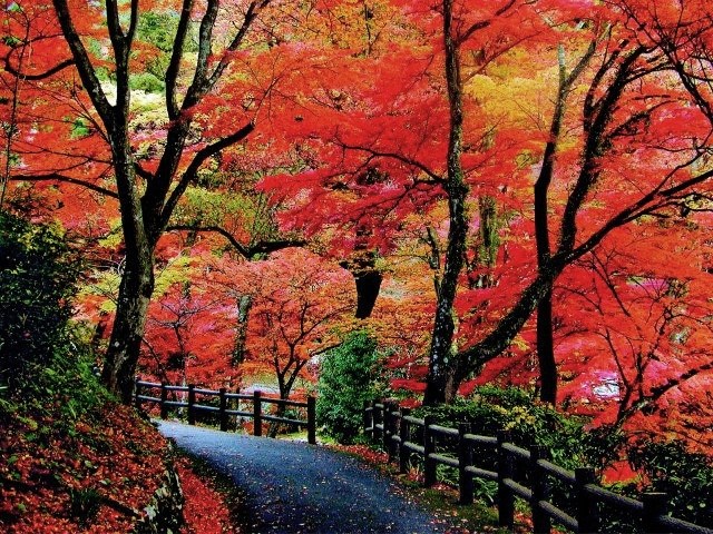 關子嶺紅葉公園