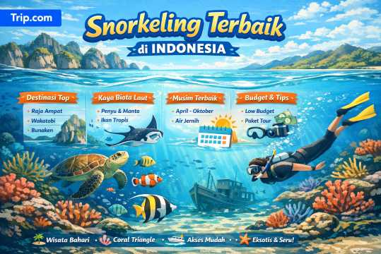 Snorkeling Terbaik di Indonesia