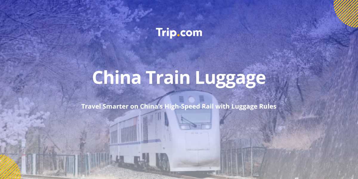 China Train Luggage