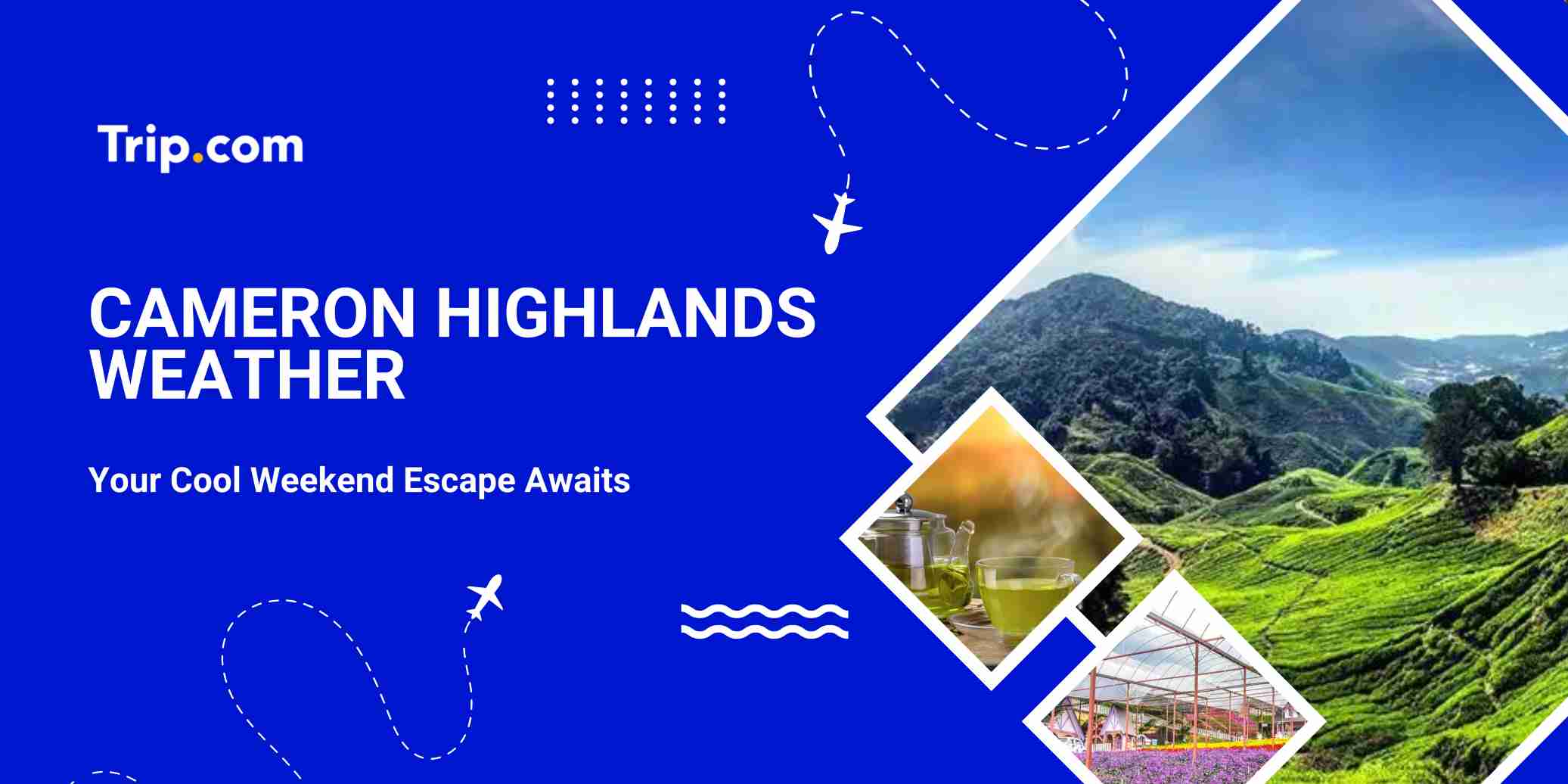Cameron Highlands Weather 2026: Temperature & Tips | Trip.com