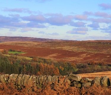 Explore the North York Moors by train
