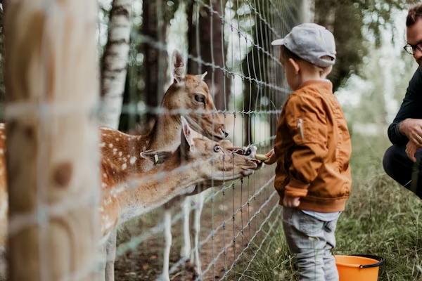 What to Do at Beijing Zoo