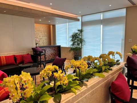 プレミアムゲートラウンジ