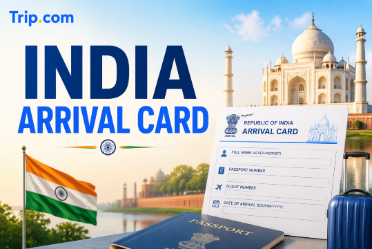 India Arrival Card