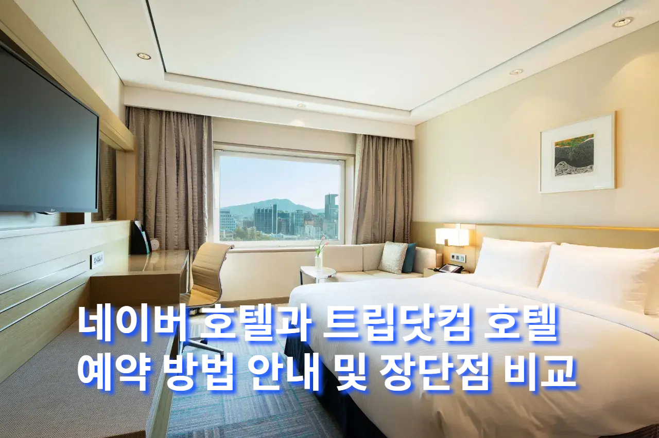 네이버 호텔 예약