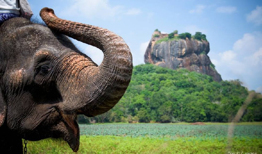 Sigiriya Lion Rock