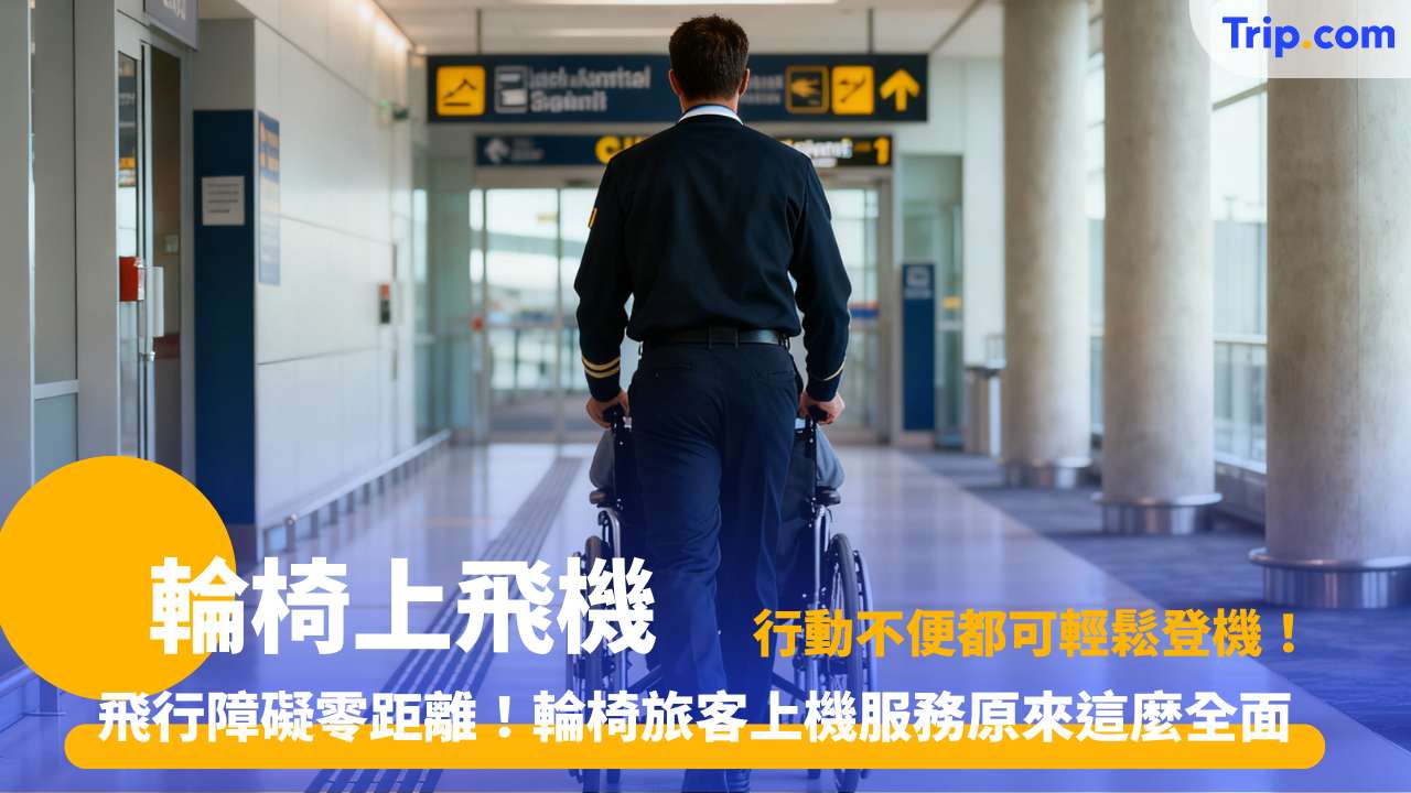 輪椅上飛機